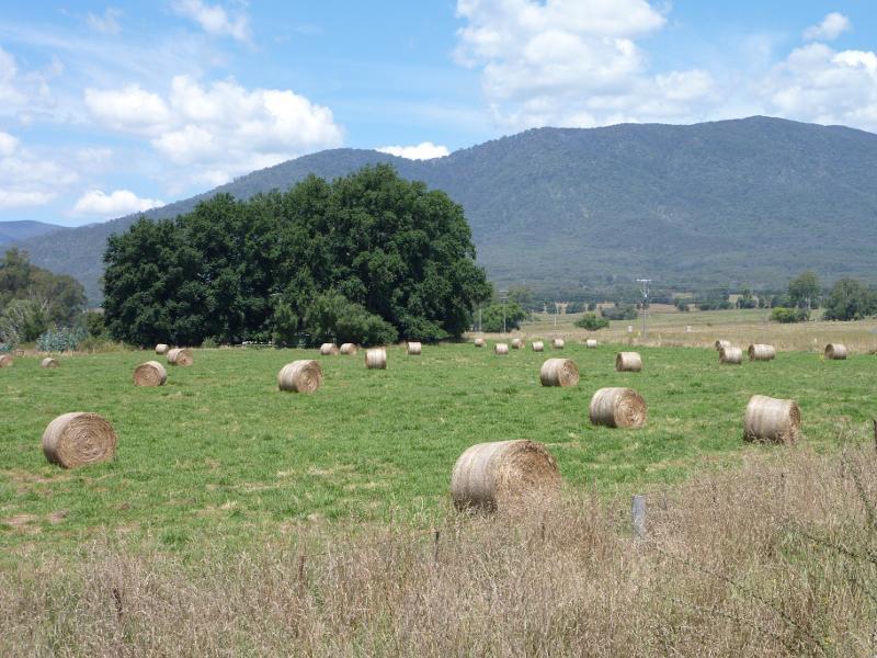 Eildon - Rubicon River, Taggerty-Thornton Road south of Thornton: Southerly view, Taggerty-Thornton Road just south of Rubicon River