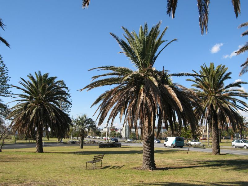 Elwood - Point Ormond Reserve and lookout at Point Ormond Hill: View north through reserve towards junction of Point Ormond Av and Marine Pde