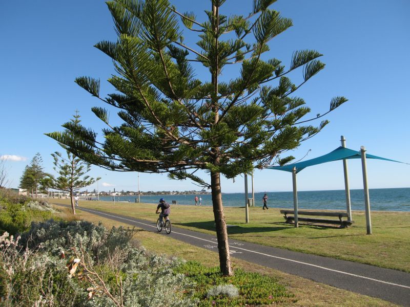 Elwood - Elwood Beach and coastline between Point Ormond and diversion drain: Bicycle track along foreshore south of kiosk