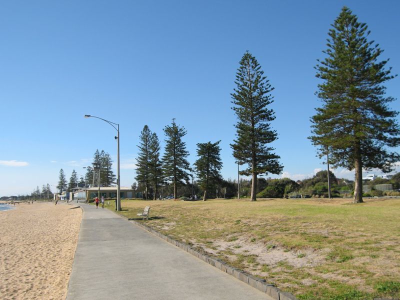 Elwood - Elwood Beach and coastline between Point Ormond and diversion drain: View north-east along beach and foreshore north of diversion drain