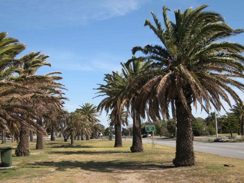 Elwood - Robinson Reserve, Marine Parade at Barkly Street: Southerly view though park along Marine Pde