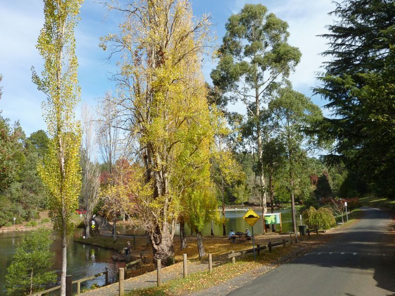 Emerald - Emerald Lake Park: Access road along northern side of Lake Treganowan