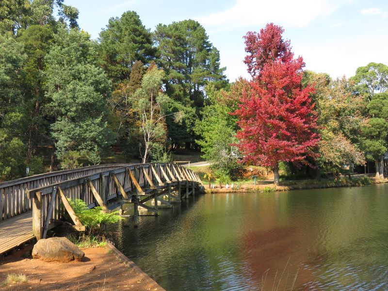 Emerald - Emerald Lake Park: View south along footbridge over Lake Treganowan