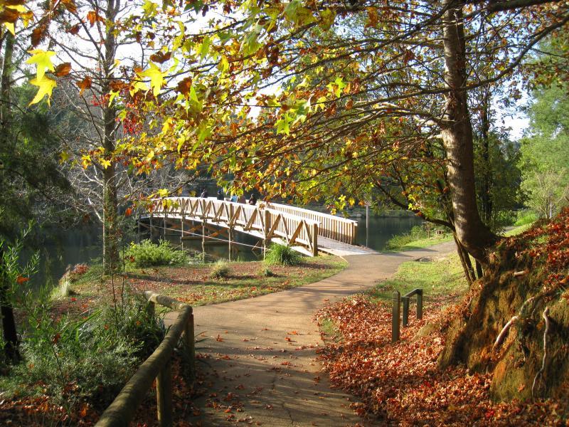 Emerald - Emerald Lake Park: View north towards footbridge over Lake Treganowan