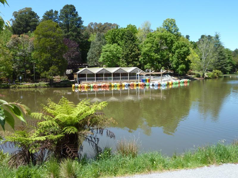 Emerald - Emerald Lake Park: Water bikes on Lake Treganowan in front of information centre