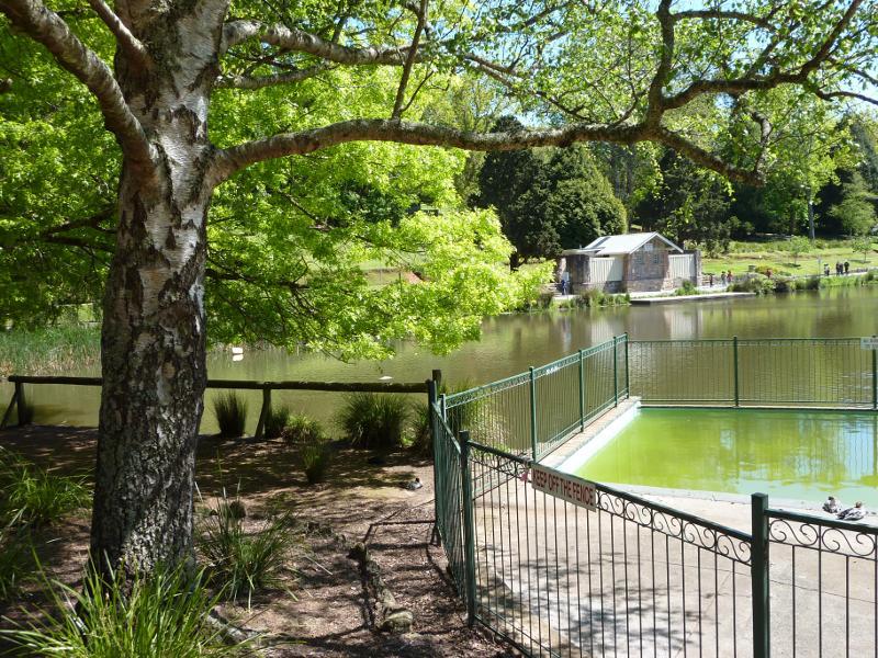 Emerald - Emerald Lake Park: View across Lake Treganowan from wading pool