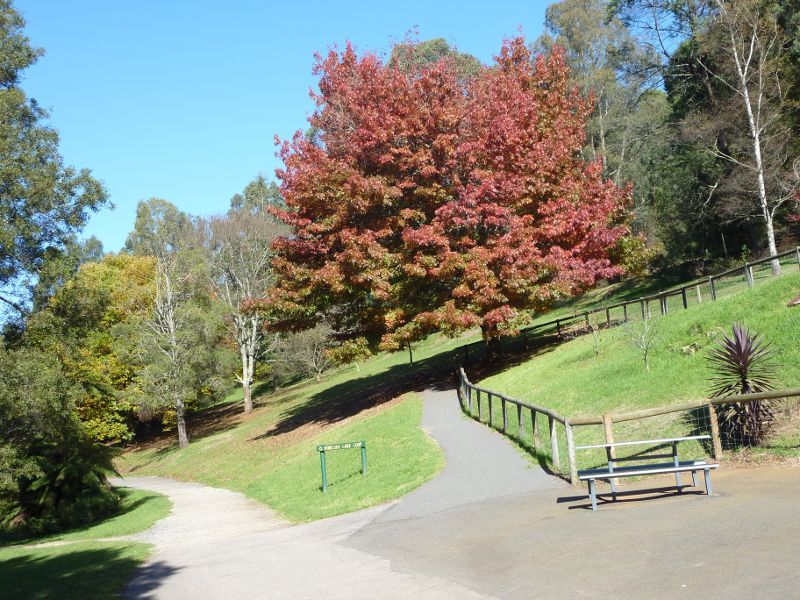 Emerald - Emerald Lake Park: Start of Nobelius Lake Loop track across the creek from cafe