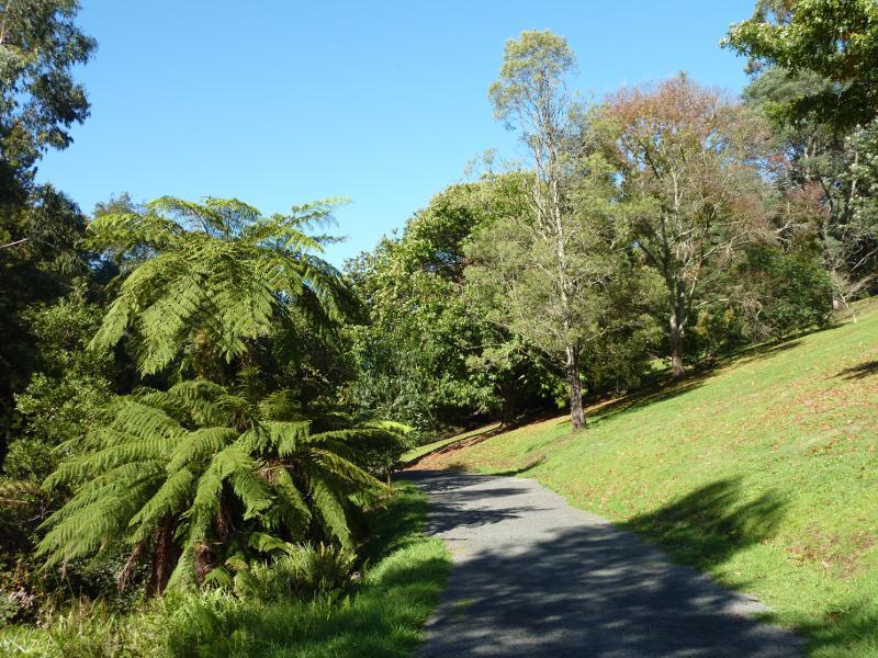 Emerald - Emerald Lake Park: Walking track along creek near cafe