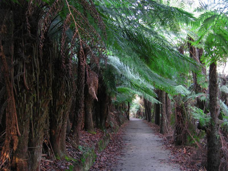 Emerald - Emerald Lake Park: Fern-lined path to wishing well