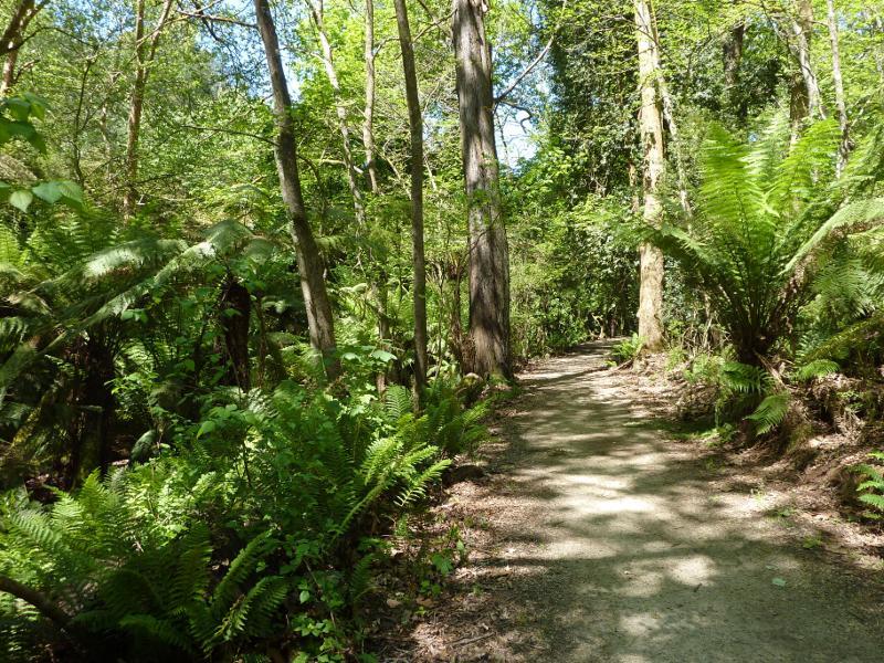 Emerald - Emerald Lake Park: Path to wishing well