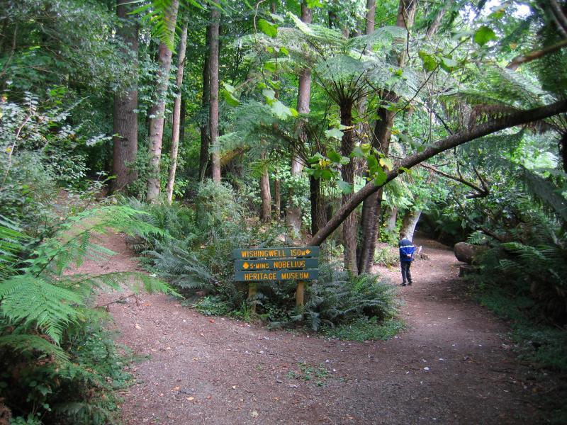 Emerald - Emerald Lake Park: Junction of path to wishing well and Nobelius Heritage Park