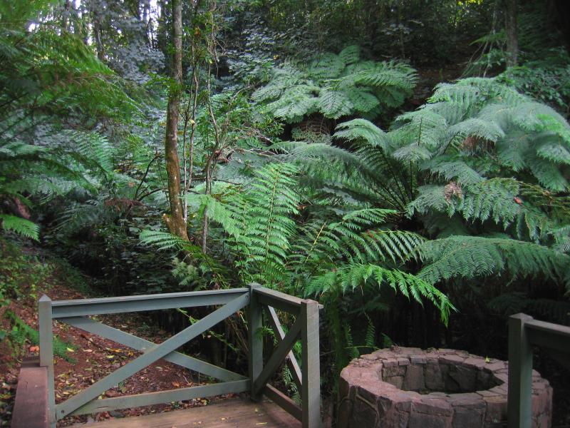 Emerald - Emerald Lake Park: Wishing well