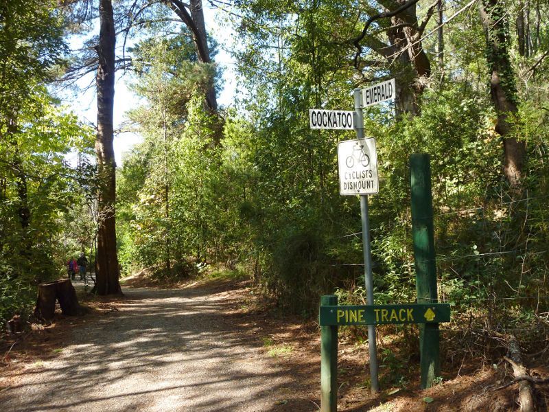 Emerald - Emerald Lake Park: Track near Nobelius Heritage Park