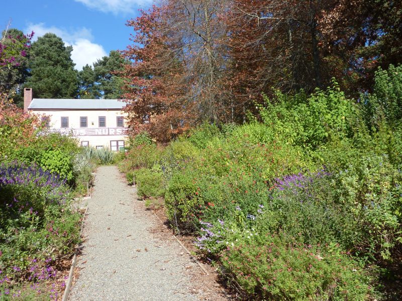 Emerald - Emerald Lake Park: View through Salvia Display Garden towards Nobelius Nurseries building