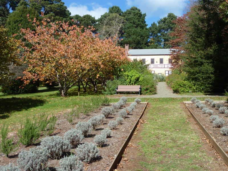 Emerald - Emerald Lake Park: View through Salvia Display Garden towards Nobelius Nurseries building