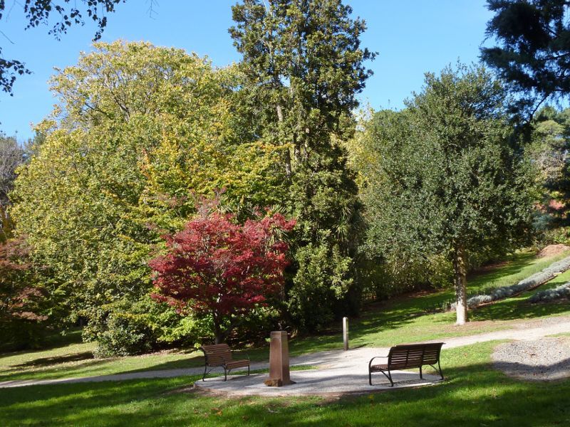 Emerald - Emerald Lake Park: Seating at bottom of Salvia Display Garden
