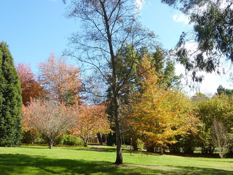 Emerald - Emerald Lake Park: Nobelius Heritage Park