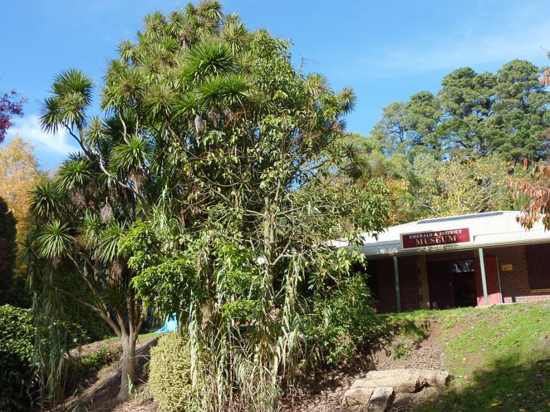 Emerald - Emerald Lake Park: Emerald & District Museum at Nobelius Heritage Park