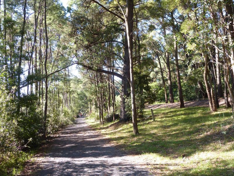 Emerald - Emerald Lake Park: Pathway along Puffing Billy railway line