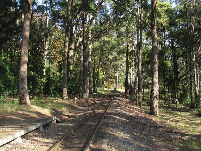 Emerald - Emerald Lake Park: Puffing Billy railway line at Nobelius station platform
