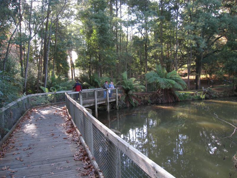 Emerald - Emerald Lake Park: Boardwalk along Lake Nobelius