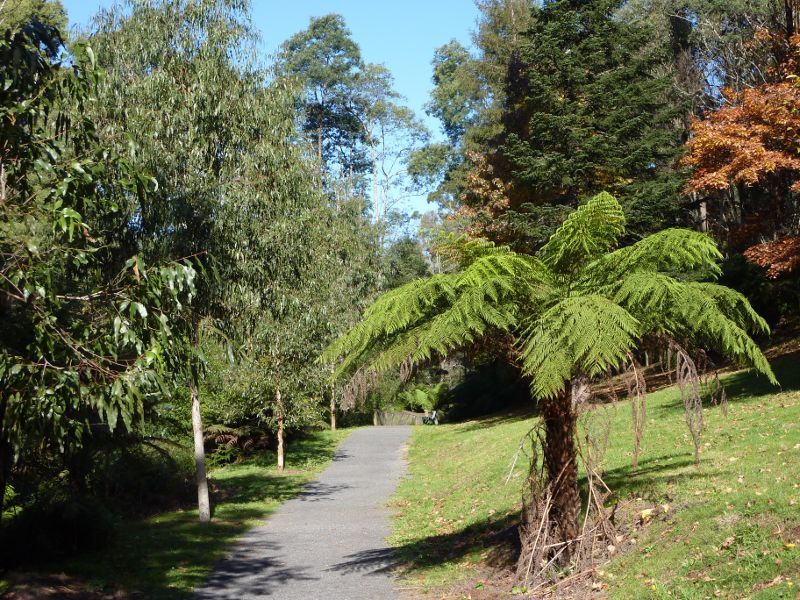 Emerald - Emerald Lake Park: Pathway approaching bridge at edge of Lake Nobelius