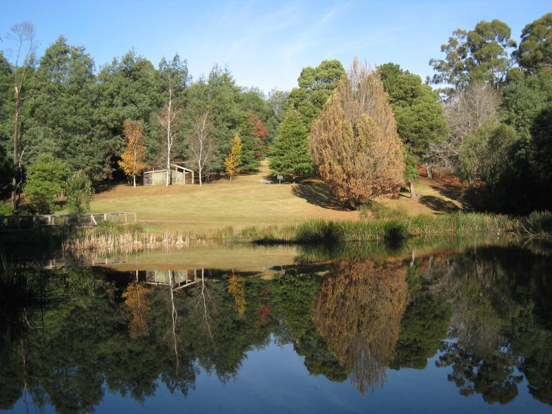 Emerald - Emerald Lake Park: View across Lake Nobelius