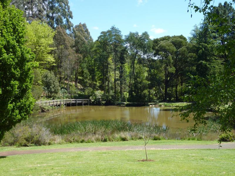Emerald - Emerald Lake Park: View across Lake Nobelius from toilets