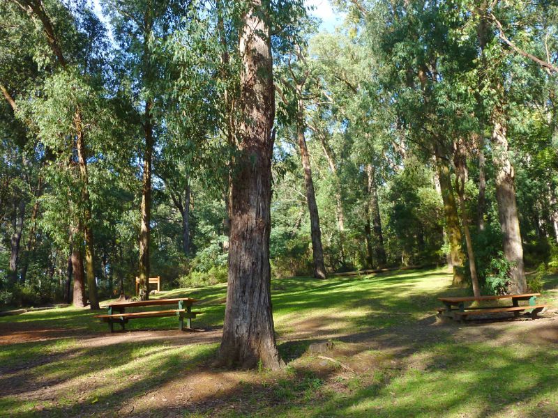 Emerald - Emerald Lake Park: BBQ and picnic area near model railway