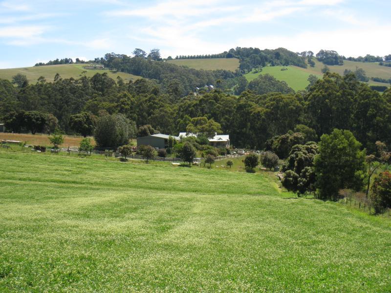 Emerald - Monbulk Road: Westerly view near Meadowvale La