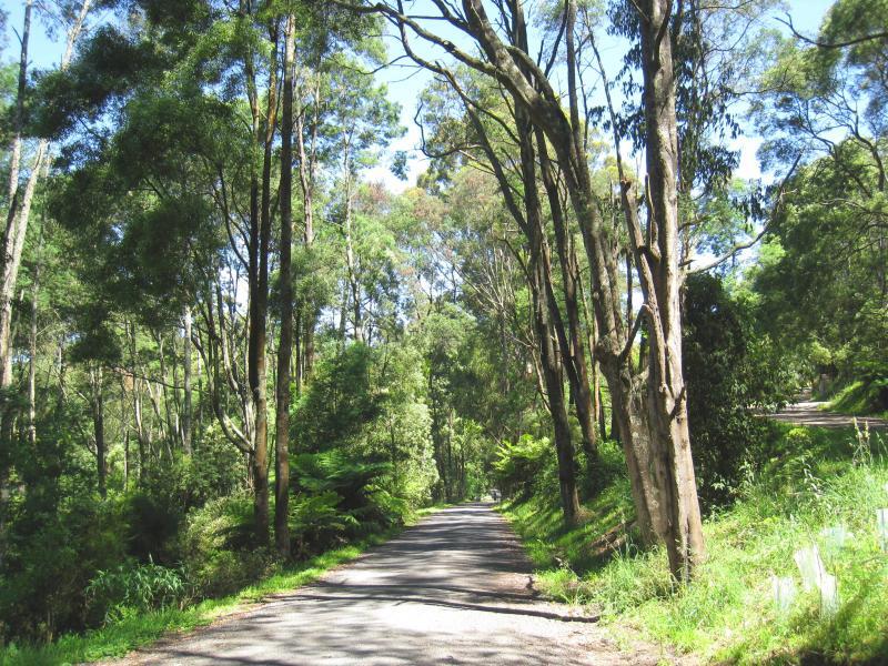 Emerald - Avard Road: View south along Avard Rd at northern end