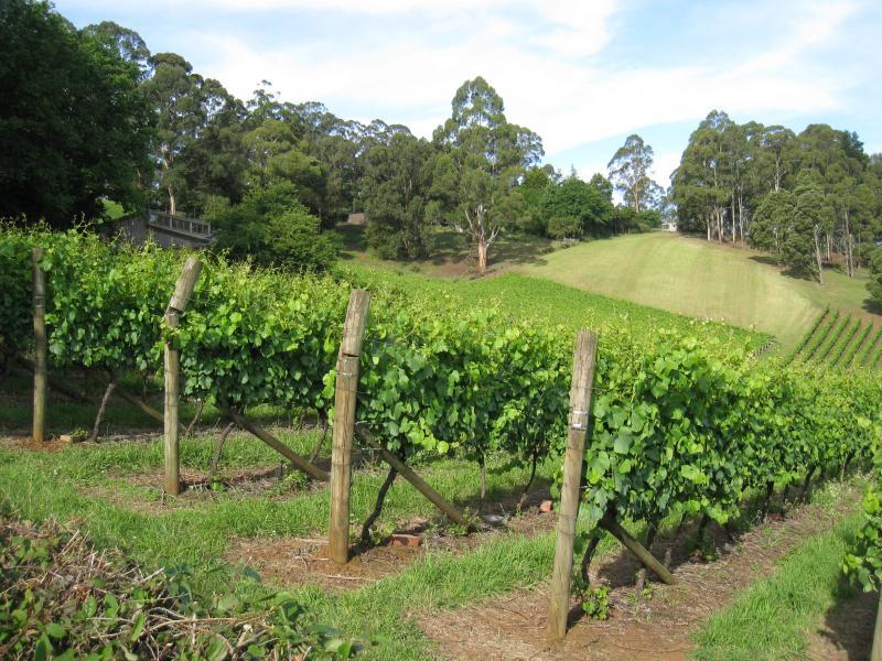 Emerald - Beaconsfield-Emerald Road and surroundings: Paternoster Winery, Paternoster Rd