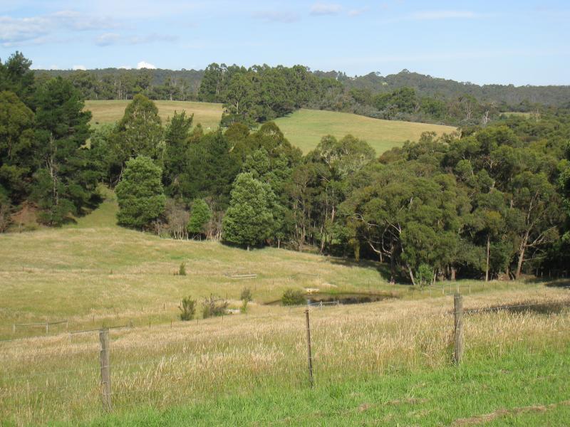 Emerald - Beaconsfield-Emerald Road and surroundings: Easterly view near Bourkes Creek Rd