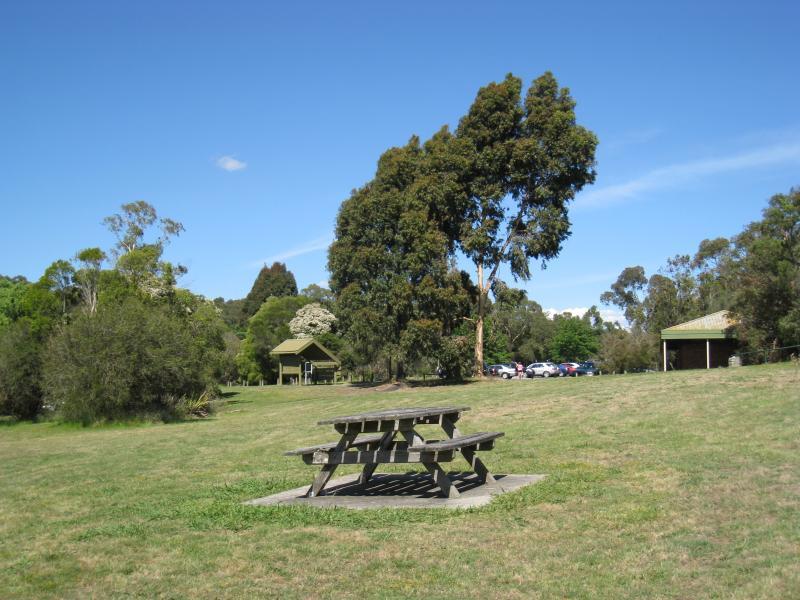 Emerald - Henleys Picnic Area, Aura Vale Lake: Picnic area