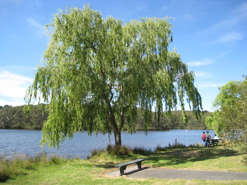 Emerald - Henleys Picnic Area, Aura Vale Lake: View across lake