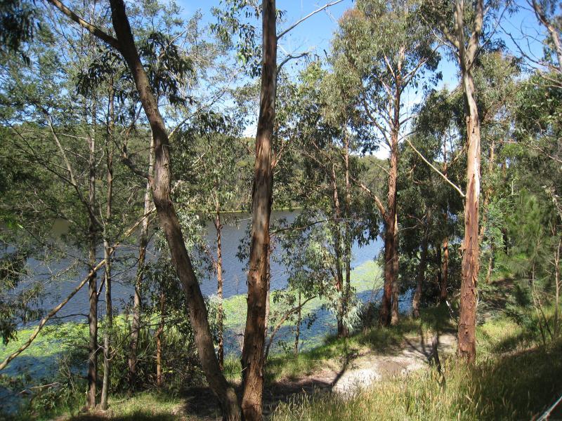 Emerald - Henleys Picnic Area, Aura Vale Lake: View across lake from pathway through bush along shoreline