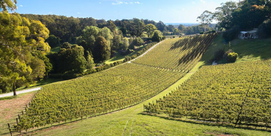 Paternoster Wines, Emerald