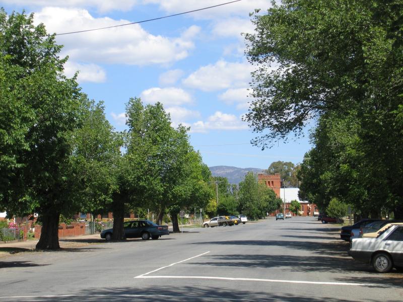 Euroa - Community buildings, Binney Street between Brock Street and Clifton Street: View south along tree-lined Binney St towards Bury St