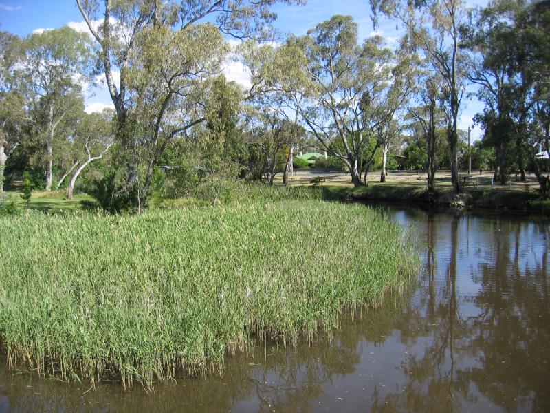 Euroa - Tarcombe Street around Seven Creeks: View south-east along Seven Creeks from Burtons Bridge