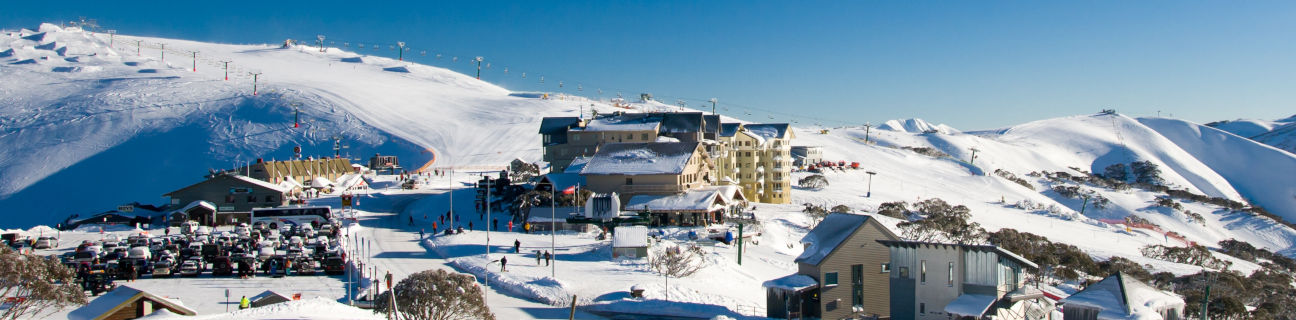 Snowfields
