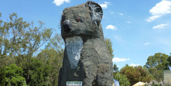 Giant Koala