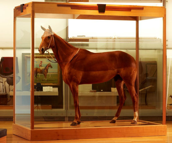 Phar Lap