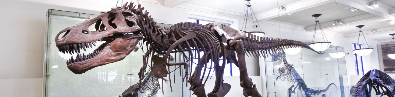 Museums