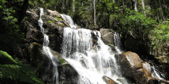 Toorongo Falls