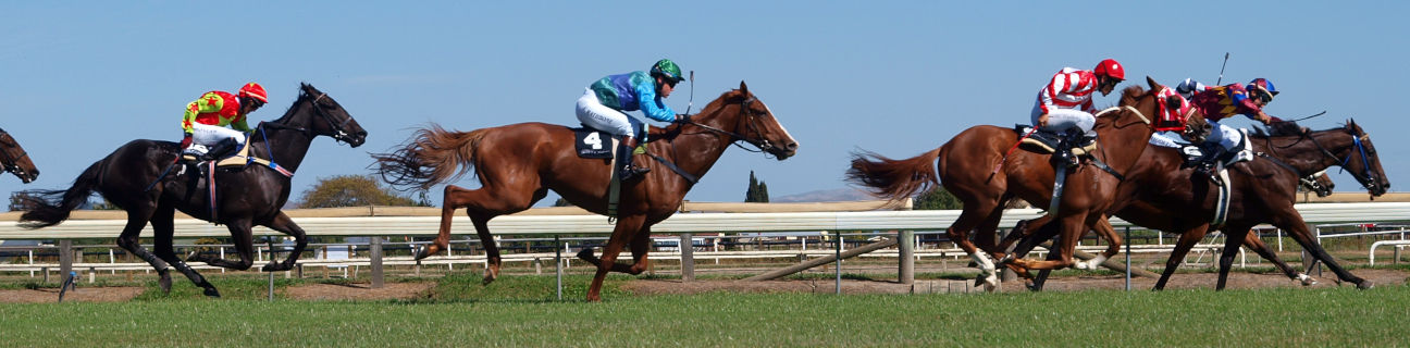 Horse racing