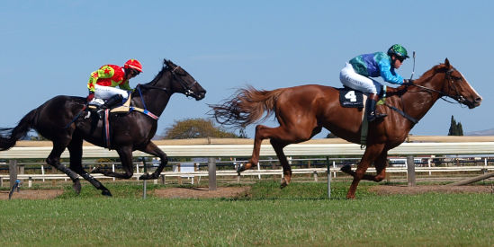 Horse racing