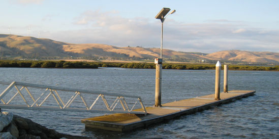 Toora