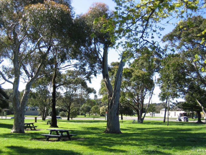 Flinders - Around town: Park on corner of Cook St and Norman St