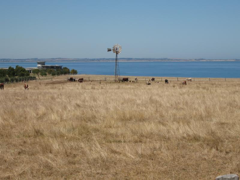 Flinders - Frankston-Flinders Rd near Tucks Rd at Shoreham: View east towards Phillip Island