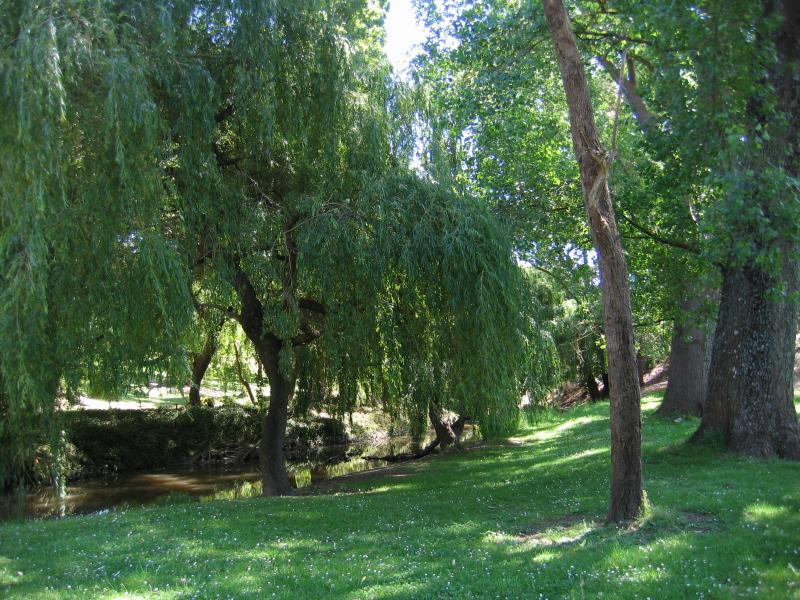 Foster - Pearl Park, Stockland Creek and surroundings, Main Street: Grassy lawns beside Stockyard Creek